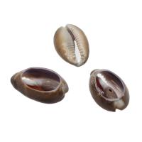 Shell Pendler, Conch, du kan DIY, brun, 30*20*9mm, Ca. 120pc'er/Bag, Solgt af Bag