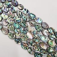 Abalone Shell Beads Flat Oval polished DIY Sold By Strand