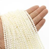 Perles en coquillage blanc naturel, coquille blanche, Rond, poli, DIY & normes différentes pour le choix, blanc, Vendu par brin