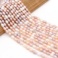 Cultured Rice Freshwater Pearl Beads, Ellipse, polished, DIY & different size for choice, mixed colors, Sold By Strand