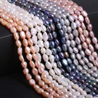 Cultured Baroque Freshwater Pearl Beads Ellipse polished DIY Sold By Strand