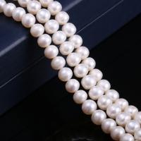 Perlas Redondas Freshwater, Perlas cultivadas de agua dulce, Esférico, pulido, Bricolaje, Blanco, 8-9mm, Vendido por Sarta