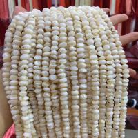 Natürliche Süßwasser Muschel Perlen, flache Runde, unterschiedliche Farbe und Muster für die Wahl & DIY, weiß, verkauft von Strang
