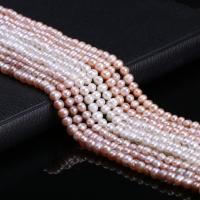 Cultured Round Freshwater Pearl Beads polished & for woman 5-5.5mm Sold By Strand