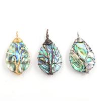 Natural Abalone Shell Pendants Teardrop plated Unisex Sold By PC