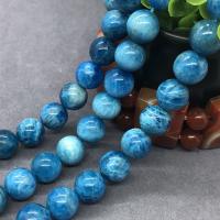Apatite Perle, rund, poliert, verschiedene Größen vorhanden, blau, Grade AAAAA, verkauft per ca. 15 ZollInch Strang