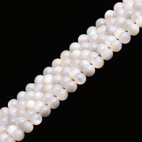 Perline conchiglia in bianco naturale , Madreperla, Cerchio, Ungere, DIY & formato differente per scelta, nessuno, Venduto da filo