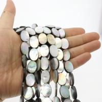 Perles de coquillage noire, Black-Lip-Shell, ovale plat, DIY, 13x18mm, Vendu par brin