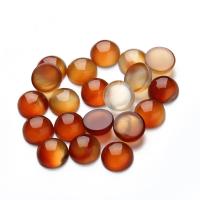 Agate Cabochon, Red Agate, Flat Round, plated, DIY & different size for choice, reddish orange, 20PCs/Bag, Sold By Bag