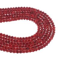 Natural Coral Beads polished DIY red 10*9*6mm Sold By Strand