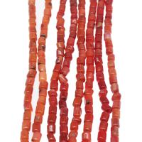 Perles en corail naturel, pilier, poli, différentes couleurs et motifs pour le choix & DIY & normes différentes pour le choix, rouge, Vendu par brin