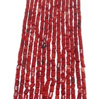 Naturlige koral perler, Kolonne, poleret, du kan DIY, rød, 6*4mm, Solgt af Strand