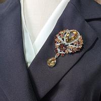 Zink Alloy Broscher, med Kristall & STRASS, Bärbara & mode smycken, fler färger för val, Säljs av PC