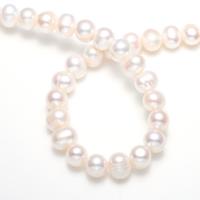 Brambor pěstované sladkovodní perle, Sladkovodní Pearl, přírodní, bílý, 11-12mm,15*10.6cm, Otvor:Cca 0.8mm, Prodáno za Cca 15 inch Strand