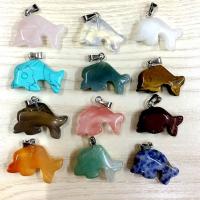 Gemstone Pendants Jewelry, Natural Stone, Animal, 12 pieces & Unisex & different styles for choice, more colors for choice, 21x14x7mm, Sold By Set