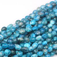 Apatites Beads, irregular, polished, DIY, blue, 8x10mm, Sold By Strand