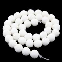 Natural Coral Beads, White Coral, Round, polished, DIY & different size for choice, white, Sold By Strand
