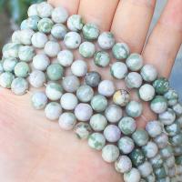 Lucky Stone Beads Round polished DIY Sold By Strand