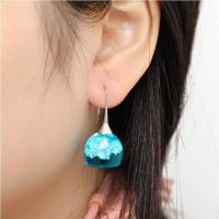 Resin Earring Zinc Alloy with Resin fashion jewelry blue Sold By Pair