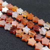 Natural Red Agate Beads, Star, polished, DIY & different size for choice, red, 12mm, Sold By Strand