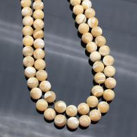 Natural Seashell Beads Trochus Round polished DIY Sold By Strand