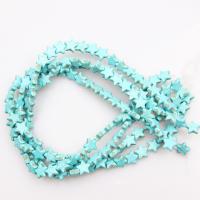 Turquoise Beads Star polished DIY turquoise blue Sold By Strand