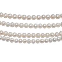 Runde ferskvandskulturperle Beads, Ferskvandsperle, poleret, du kan DIY & forskellig størrelse for valg, hvid, 4-5mm, Solgt af Strand