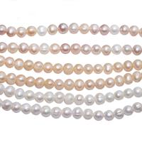 Cultured Round Freshwater Pearl Beads, polished, DIY, more colors for choice, 8-9mm, Sold By Strand
