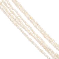 Cultured Potato Freshwater Pearl Beads, irregular, polished, DIY, white, 2-3mm, Sold By Strand
