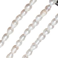 Perlas Arroz Freshwater, Perlas cultivadas de agua dulce, Irregular, pulido, Bricolaje, Blanco, 3-4mm, Vendido por Sarta