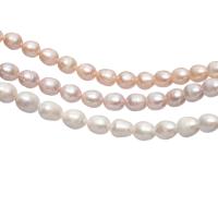 Cultured Rice Freshwater Pearl Beads, irregular, polished, DIY, more colors for choice, 10-11mm, Sold By Strand