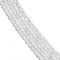 Perlas Arroz Freshwater, Perlas cultivadas de agua dulce, Gota, pulido, Bricolaje, Blanco, 4-5mm, Vendido por Sarta