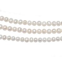 Perlas Redondas Freshwater, Perlas cultivadas de agua dulce, Esférico, pulido, Bricolaje, Blanco, 7-8mm, Vendido por Sarta