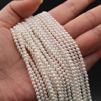 Natural Colored Shell Beads South Sea Shell Round plated DIY 3mm Sold By Strand
