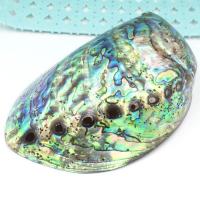 Abalone Shell Craft Decoration, Unisex, multi-colored, 100x130mm, Sold By PC