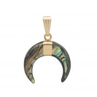 Pendentifs d'ormeau coquillage naturel, laiton, avec coquille, bijoux de mode & unisexe, vert, 20mm, Vendu par PC