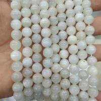 Mondstein Perlen, rund, poliert, DIY & verschiedene Größen vorhanden, weiß, frei von Nickel, Blei & Kadmium, verkauft von Strang