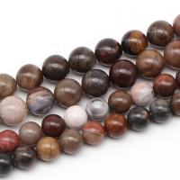 Gemstone Jewelry Beads Silicified Wood Round fashion jewelry & DIY brown Sold By Strand