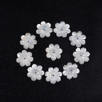 Perles de coquillages blancs, Lèvre blanche, fleur, bijoux de mode & DIY, blanc,  2x20mm, Vendu par PC