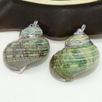 Natural Trumpet Shell Pendants with Zinc Alloy Conch plated DIY 20-35mm Sold By PC