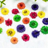 Mobiltelefon DIY Kit, Torkade blommor, Blomma, blandade färger, nickel, bly och kadmium gratis, 5-8mm, 10000PC/Bag, Säljs av Bag
