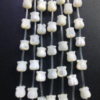 Natural Freshwater Shell Beads, Trochus, Tulip, polished, DIY, white, 8x9mm, Sold By PC