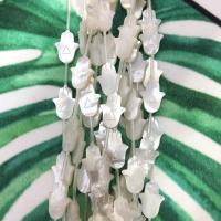 Perles de coquillages blancs, Lèvre blanche, main, poli, DIY & normes différentes pour le choix, blanc, Vendu par PC