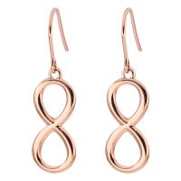 Titanium Steel Drop Earring plated for woman 21mm Sold By Pair