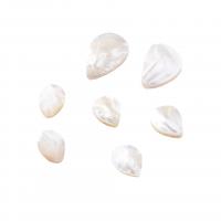 Naturlig Freshwater Shell Perler, poleret, du kan DIY, hvid, 18x25mm, Solgt af PC