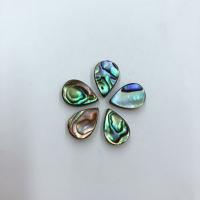 Perles coquillage d'ormeau, coquille d'ormeau, DIY, couleurs mélangées, 8x12mm, Vendu par PC