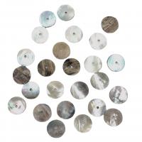 Shell Button, Masibei Scallop, Round, DIY & single hole & different size for choice, Sold By PC