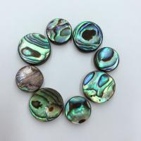 Abalone Shell Beads, DIY, Sold By PC
