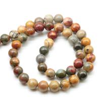 Picasso Jasper Beads, Round, polished, DIY & different size for choice, Sold By Strand