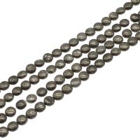 Nicht-magnetische Hämatit Perlen, flache Runde, 8x8x5mm, verkauft von Strang